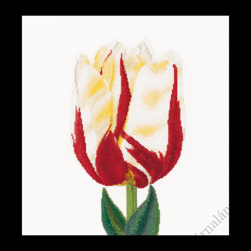 Lángoló kései tulipán - keresztszemes készlet