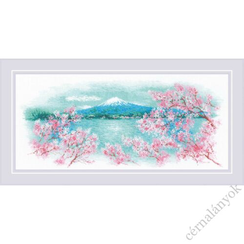 Sakura. Fuji