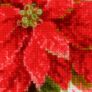 Kép 4/4 - Poinsettia / Mikulásvirág keresztszemes készlet