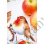 Kép 2/3 - Vervaco asztali futó - Vörösmellű vörösbegy almával