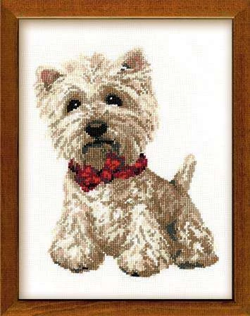 West Highland terrier