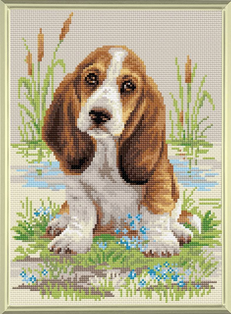 Diamond Mosaic készlet - Basset Hound